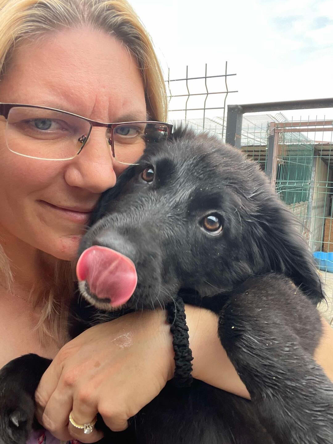 A rescued puppy enjoying some cuddles at the Zoe's Home Animal Rescue shelter in Romania.